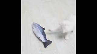 Unleash Playful Bliss with Interactive Electric Floppy Fish Cat Toys [upl. by Alolomo]