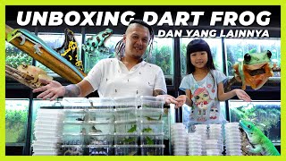 UNBOXING GIANT DAY GECKO DAN DART FROG LAGI [upl. by Malloy215]