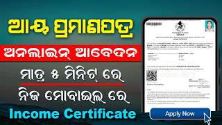 Income Certificate Apply Online Odisha  How To Apply Income Certificate Online In Mobile Odia [upl. by Tandie]