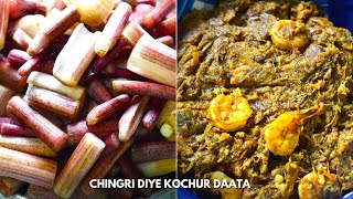 Authentic Bengali Narkol Chingri Diye Kochur Daata Recipe  Bengali Prawn amp Colocasia Stem Curry [upl. by Derfniw]