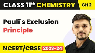 Paulis Exclusion Principle Class 11  Structure of Atom  Class 11 Chemistry IITJEENEET [upl. by Torp157]