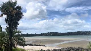 Hobsonville point beach 🏖️ Auckland New Zealand 🇳🇿 新西蘭奧克蘭霍布森爾碼頭⛵️ [upl. by Sigvard]