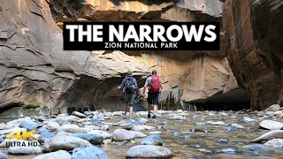 The Narrows  Zion National Park  A Beginners Guide [upl. by Sandstrom]