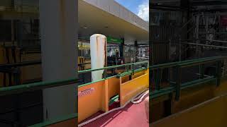 Taronga Zoo Wharf 20231201 Sydney Australia 4K [upl. by Ennaeilsel]