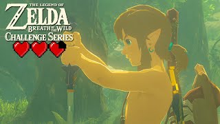 TRIAL OF THE SWORD 3 HEART EDITION Beginning Trials Breath of the Wild Challenge Series [upl. by Onitsoga17]