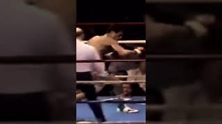 Pernell Whitaker KNOCKOUT [upl. by Hayotal]