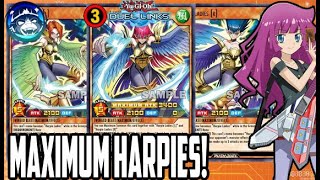 💥EL NUEVO MAXIMUM DECK F2P PARA RUSH🤑  NUEVO HARPIES RUSH DECK  YuGiOh Duel Links [upl. by Valle883]