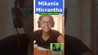 1 minute upsc series  Mikania Micrantha currentaffairs upscprelims upscbpscssc youtubeshorts [upl. by Barret919]