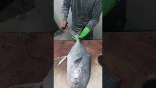 Pompano Fish Cutting Skill In Fish Market  Pompano Fish Skinning amp Filleting Skills [upl. by Llednek]