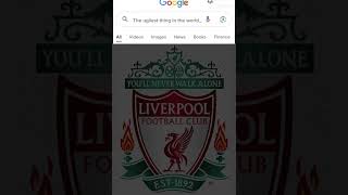 Up the toffees Liverpool stink [upl. by Wayne395]