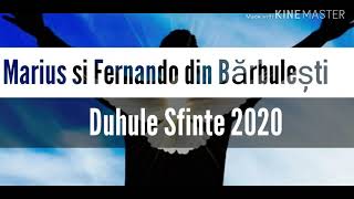 Marius si Fernando din Bărbulești Duhule Sfinte umplem Viața mea 2020 New [upl. by Aillimat]