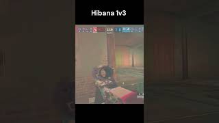 Hibana 1v3 Shouldnt of won this watch my health [upl. by Hoffmann758]