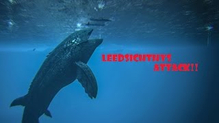 Ark Survival Evolved  Leedsichthys Attack [upl. by Atnes863]