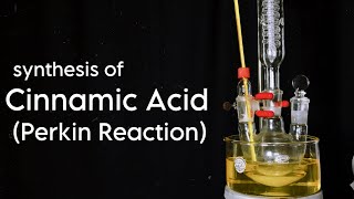 Cinnamic Acid  Organic Synthesis  Perkin Reaction [upl. by Reilly]