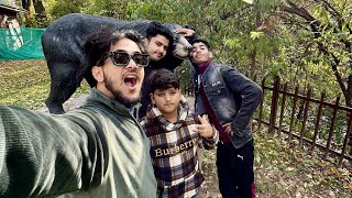 Exploring dachigam wildlife sanctuary😍wild bear k saath selfie leli😱 [upl. by Jak]