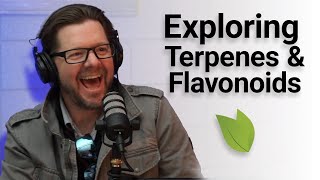 Terpenes amp Flavonoids Unveiled [upl. by Belita556]