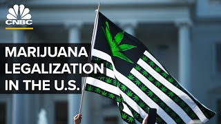 Is Marijuana Legalization Inevitable In The US [upl. by Kyriako243]