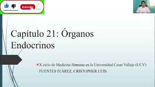 HISTOLOGÍA ÓRGANOS ENDOCRINOS [upl. by Gass]