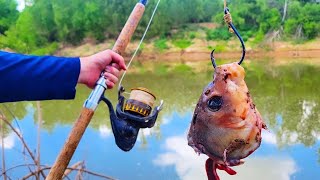 This Is Why You Bring A Measuring Tape big bait lured a monster [upl. by Eiduj]