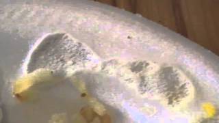 Styrofoam Plates Unsafe [upl. by Volkan]