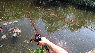 Lure Fishing for Pike 🇬🇧 Catching on the Canal [upl. by Rhodia810]