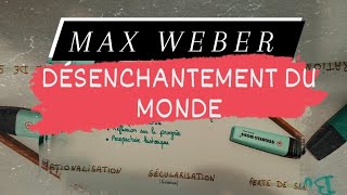 Max Weber  Désenchantement du monde [upl. by Ilek651]