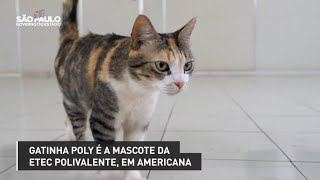 Gatinha Poly é a mascote da Etec Polivalente em Americana [upl. by Owen]