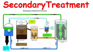 Secondary treatment of wastewater [upl. by Queston]