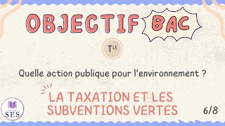 BAC Cours Environnement  La taxation et les subventions vertes [upl. by Adall]