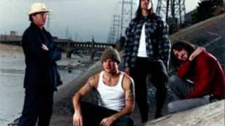 Red Hot Chili Peppers  Road Trippin live [upl. by Rimidalg]