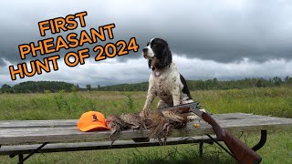 First Pheasant Hunt of 2024 [upl. by Najtsirk]