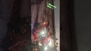 What do you think of my Christmas tree Me and my mom decorated together 3 christmastree [upl. by Honig]