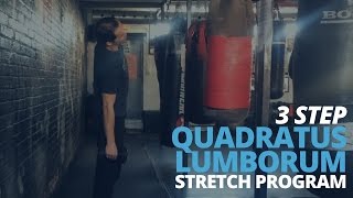 3 Step Quadratus Lumborum Stretch Program [upl. by Aimac]