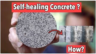 selfhealing concrete  seminar topic  Bacterial concrete  selfhealingconcrete civilengineering [upl. by Fachanan]