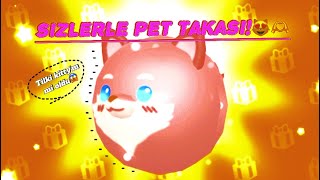 Sizlerle pet takası😻🫶💜tilki kitty’m mi oldu😱000pkxdrosrosewly [upl. by Yromas440]