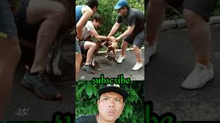 Pitbull Vs Pitbull fight WHATS TILL THE ENDpitbull pitbulldog pitbulls [upl. by Trocki]