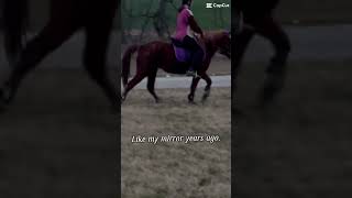 Sienna equestrianvibes horse horseenthusiast equestrian equestrianlove equestrianjourney [upl. by Yotal]