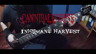 Cannibal Corpse  Inhumane Harvest Bass [upl. by Nasia]