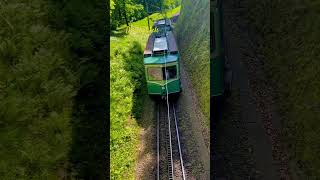 Somewhere in Drachenfels Germany europe travel germany [upl. by Ijar]