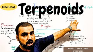 Terpenoids  one shot  Classification of lipid  in Urdu hindi medium [upl. by Annayhs]