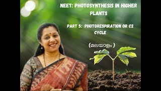 NEET Photosynthesis In Higher Plants Part5Malayalam PhotorespirationC2 cyclePCO cycle [upl. by Barbra]