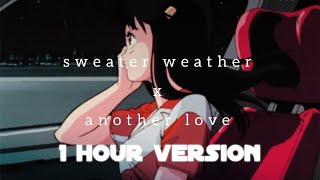 DJ LiLLi  Sweater Weather x Another Love TIKTOK Version 1 Hour Version [upl. by Farrington25]