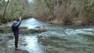 Steelhead fishing at North Fork Alsea Oregon [upl. by Niessuh100]