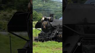 【4K縦動画】C58363 門鉄デフ！秩父鉄道・SLパレオ 荒川橋梁通過 ChichibuRailway Steam locomotive Class C58 quotPALEO EXPRESSquot [upl. by Esma]