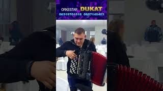 Orkestar Dukat improvizacija Željko Jevremović Belušić 9112025 [upl. by Yesoj]