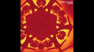 Geogaddi 1969 Boards Of Canada [upl. by Einaeg]