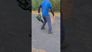 Fall clean up Cleaning off a driveway Ego leaf blower asmr entrepreneur lawncare fallcleanup [upl. by Shirleen]