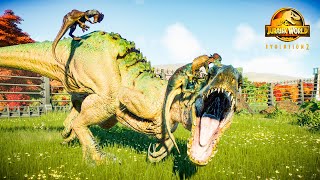 Dinosaur Battle Ceratosaurus Suchomimus Indominus Rex Dilophosaurus  Jurassic World Evolution 2 [upl. by Elwee]