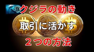 仮想通貨 クジラの動きを取引に活かす 2つの方法 [upl. by Macmillan]