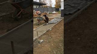 Landscaping in 5 days👍work construction pavers builder satisfying diy paverblocks garden [upl. by Cote]